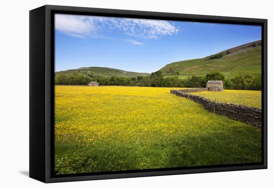 Field Barns and Buttercup Meadows at Muker-Mark Sunderland-Framed Premier Image Canvas