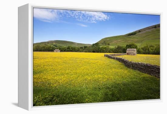 Field Barns and Buttercup Meadows at Muker-Mark Sunderland-Framed Premier Image Canvas