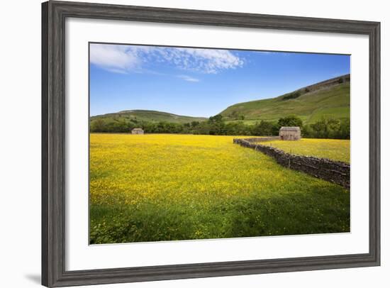 Field Barns and Buttercup Meadows at Muker-Mark Sunderland-Framed Photographic Print