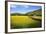 Field Barns and Buttercup Meadows at Muker-Mark Sunderland-Framed Photographic Print