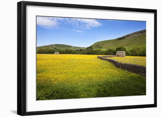 Field Barns and Buttercup Meadows at Muker-Mark Sunderland-Framed Photographic Print
