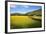 Field Barns and Buttercup Meadows at Muker-Mark Sunderland-Framed Photographic Print