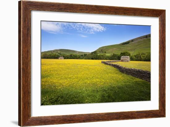 Field Barns and Buttercup Meadows at Muker-Mark Sunderland-Framed Photographic Print