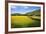 Field Barns and Buttercup Meadows at Muker-Mark Sunderland-Framed Photographic Print