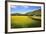 Field Barns and Buttercup Meadows at Muker-Mark Sunderland-Framed Photographic Print