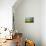 Field Barns and Buttercup Meadows at Muker-Mark Sunderland-Photographic Print displayed on a wall