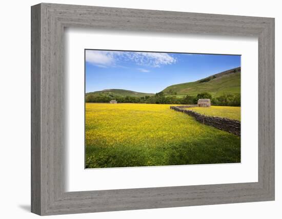 Field Barns and Buttercup Meadows at Muker-Mark Sunderland-Framed Photographic Print