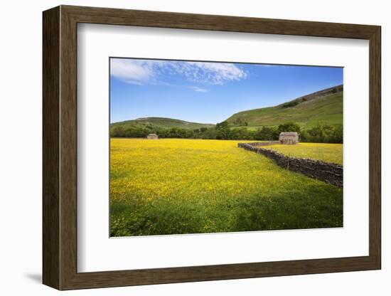 Field Barns and Buttercup Meadows at Muker-Mark Sunderland-Framed Photographic Print