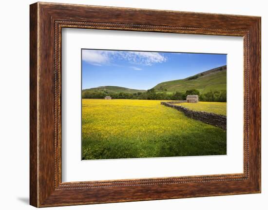 Field Barns and Buttercup Meadows at Muker-Mark Sunderland-Framed Photographic Print