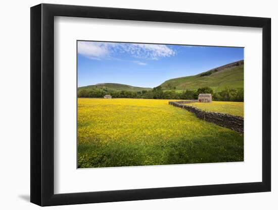 Field Barns and Buttercup Meadows at Muker-Mark Sunderland-Framed Photographic Print