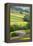 Field Barns in Buttercup Meadows Near Thwaite in Swaledale-Mark Sunderland-Framed Premier Image Canvas