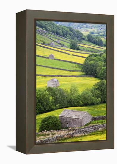 Field Barns in Buttercup Meadows Near Thwaite in Swaledale-Mark Sunderland-Framed Premier Image Canvas