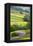 Field Barns in Buttercup Meadows Near Thwaite in Swaledale-Mark Sunderland-Framed Premier Image Canvas