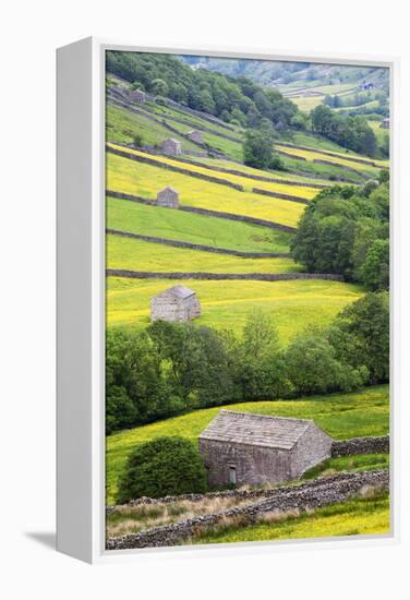 Field Barns in Buttercup Meadows Near Thwaite in Swaledale-Mark Sunderland-Framed Premier Image Canvas