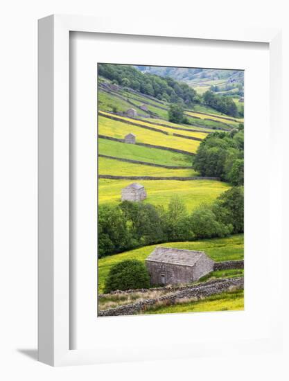 Field Barns in Buttercup Meadows Near Thwaite in Swaledale-Mark Sunderland-Framed Photographic Print