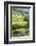 Field Barns in Buttercup Meadows Near Thwaite in Swaledale-Mark Sunderland-Framed Photographic Print