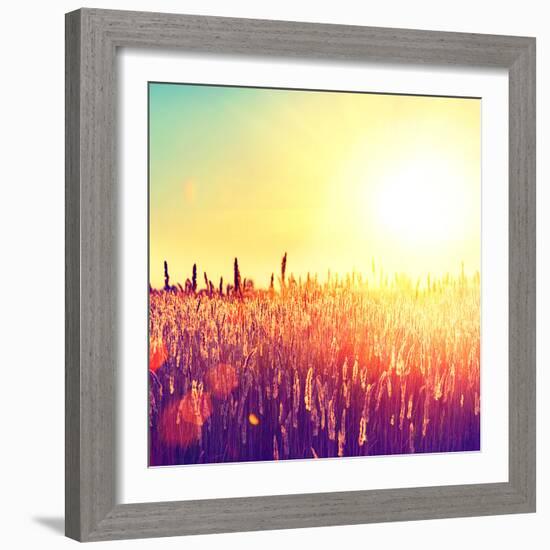 Field, Beautiful Nature Sunset Landscape-Subbotina Anna-Framed Photographic Print