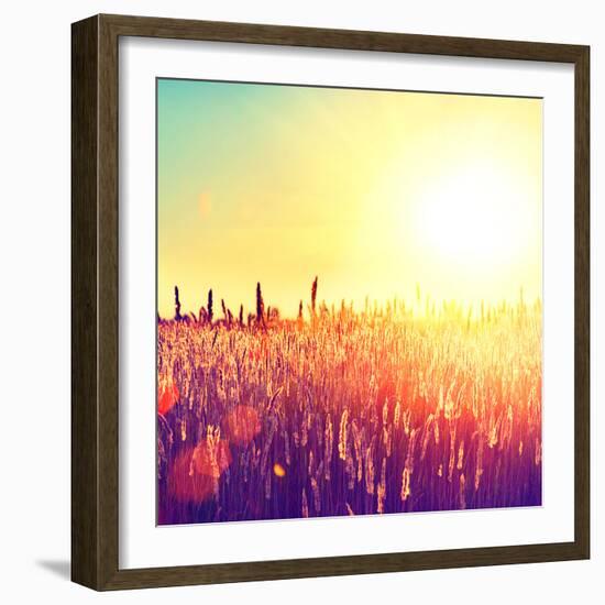 Field, Beautiful Nature Sunset Landscape-Subbotina Anna-Framed Photographic Print