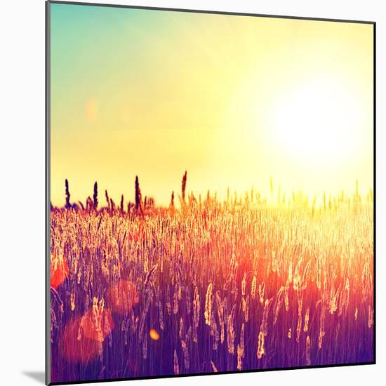 Field, Beautiful Nature Sunset Landscape-Subbotina Anna-Mounted Photographic Print