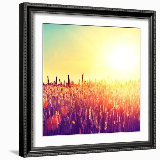 Field, Beautiful Nature Sunset Landscape-Subbotina Anna-Framed Photographic Print