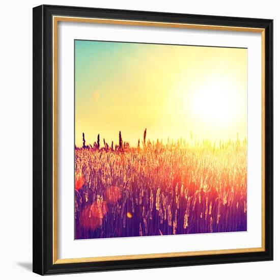 Field, Beautiful Nature Sunset Landscape-Subbotina Anna-Framed Photographic Print