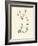 'Field Chickweed', c1891, (1891)-Anne Pratt-Framed Giclee Print