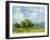 Field Color Study I-Ethan Harper-Framed Art Print