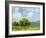 Field Color Study I-Ethan Harper-Framed Art Print