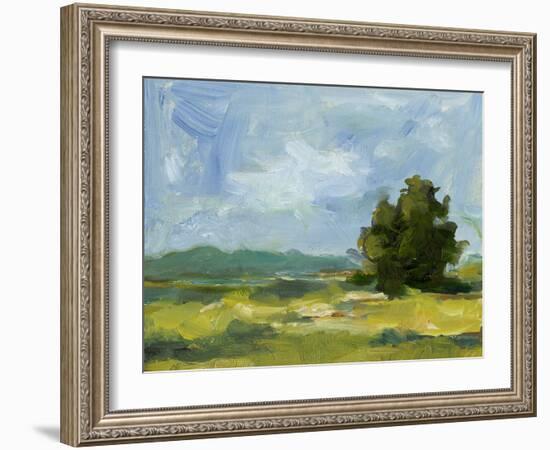 Field Color Study II-Ethan Harper-Framed Art Print