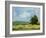 Field Color Study II-Ethan Harper-Framed Art Print