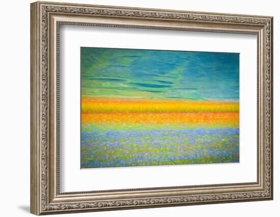 Field Colors-Marco Carmassi-Framed Photographic Print