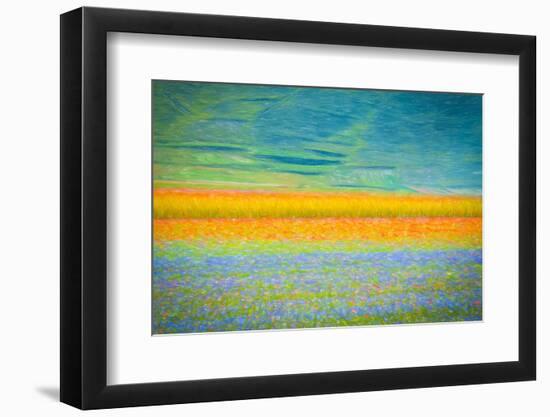 Field Colors-Marco Carmassi-Framed Photographic Print