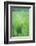 Field Crop Grass Detail-Veneratio-Framed Photographic Print