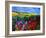 field flowers (poppies, chicorees daisies and many more)-Pol Ledent-Framed Art Print