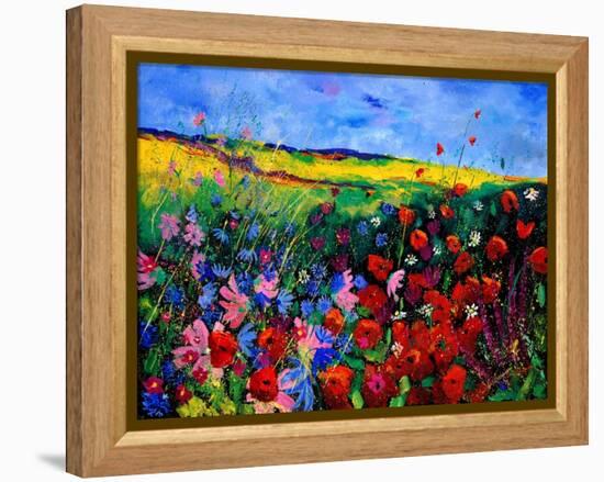 field flowers (poppies, chicorees daisies and many more)-Pol Ledent-Framed Stretched Canvas