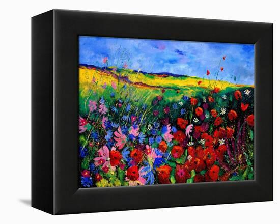 field flowers (poppies, chicorees daisies and many more)-Pol Ledent-Framed Stretched Canvas