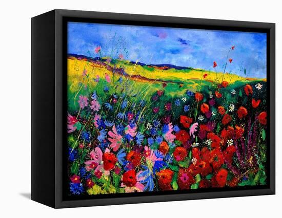 field flowers (poppies, chicorees daisies and many more)-Pol Ledent-Framed Stretched Canvas