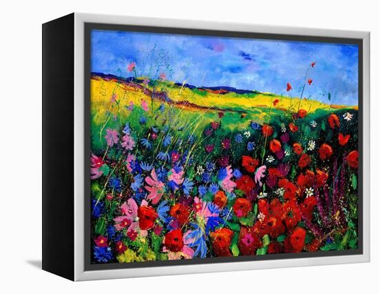 field flowers (poppies, chicorees daisies and many more)-Pol Ledent-Framed Stretched Canvas