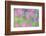 Field gladiolus flowering in meadow, Cyprus-Edwin Giesbers-Framed Photographic Print