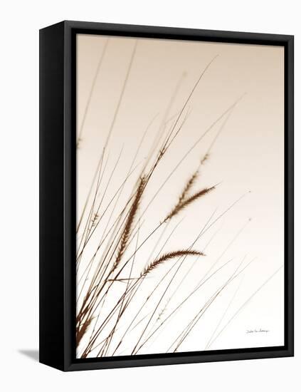 Field Grasses I Sepia-Debra Van Swearingen-Framed Premier Image Canvas