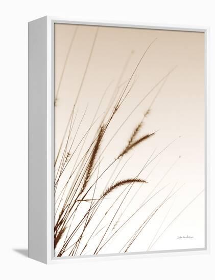 Field Grasses I Sepia-Debra Van Swearingen-Framed Premier Image Canvas