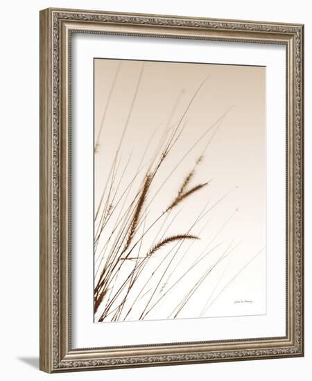 Field Grasses I Sepia-Debra Van Swearingen-Framed Photographic Print