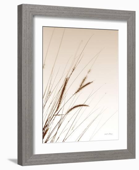 Field Grasses I Sepia-Debra Van Swearingen-Framed Photographic Print