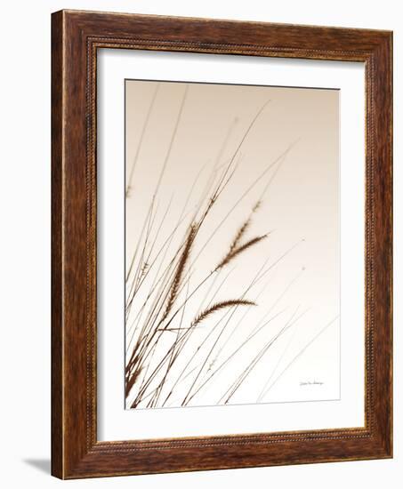 Field Grasses I Sepia-Debra Van Swearingen-Framed Photographic Print