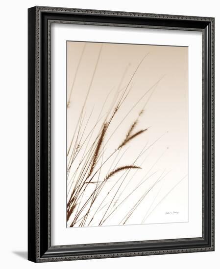 Field Grasses I Sepia-Debra Van Swearingen-Framed Photographic Print