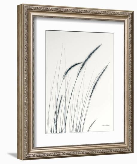 Field Grasses III-Debra Van Swearingen-Framed Photographic Print