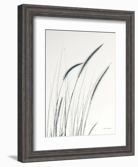 Field Grasses III-Debra Van Swearingen-Framed Photographic Print