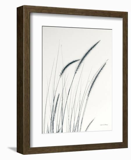 Field Grasses III-Debra Van Swearingen-Framed Photographic Print