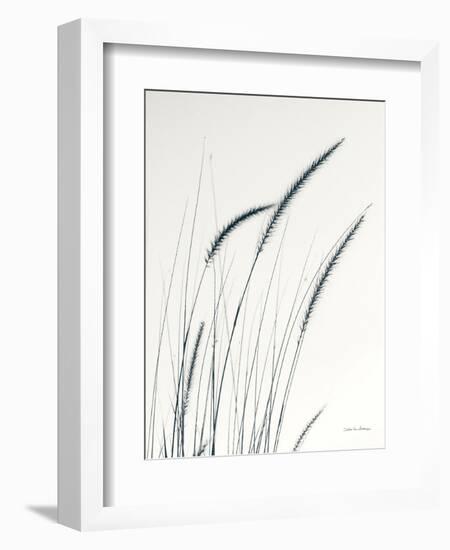 Field Grasses III-Debra Van Swearingen-Framed Photographic Print