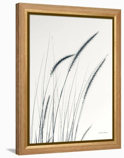 Field Grasses III-Debra Van Swearingen-Framed Premier Image Canvas